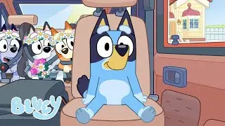 I Migliori Giochi in Auto con Bluey 🚘 ✨ | Divertimento in Viaggio | Bluey Italiano Canale Ufficiale