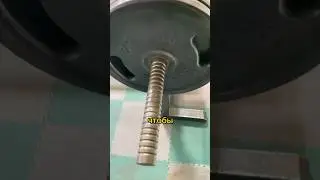 Качковская мудрость😤3 #gym #fitness #sport #шортс #спорт #приколы #memes #shorts