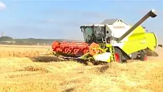 Claas Tucano 450 bei der Ernte 2019