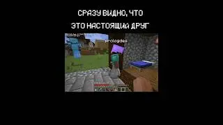 ЛУЧШИЙ ДРУГ🥰 #шортс #майнкрафт #мемы #тикток #minecraft #memes #tiktok #shorts