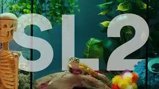SL2 - On A Ragga Tip (Unlimit-ing Remix)