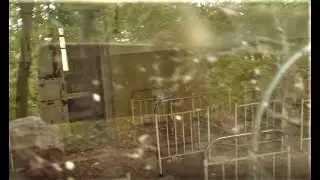 Radioactive bees in abandoned kindergarden