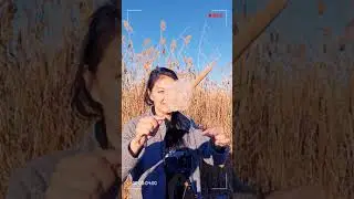 Золотая осень. с. Викторовка