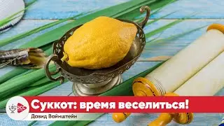Суккот: время веселиться! | Давид Вайнштейн