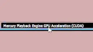 CUDA vs Software Acceleration