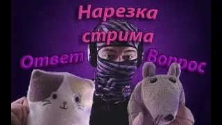 Возвращение Обси спустя 6 месяцев // Планы на лето// НАРЕЗКА СТРИМА
