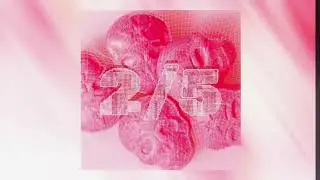 QuayDee - 2/5 (Official Audio)