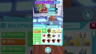 4th Egg Opened! 