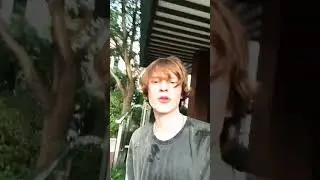 #дипинс