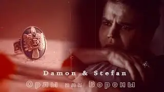 Damon & Stefan || Орлы или Вороны