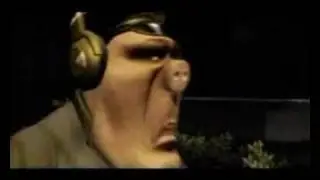 Glukoza - Schweine
