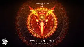Zyce vs Flegma - Sun Bird