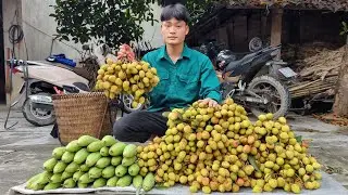 Harvest melon, lychee, bring to market to sell, forest life