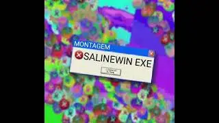 MONTAGEM SALINEWIN.EXE