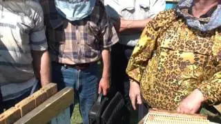 Цебро В.П. 100 кг меда от зимовалой семьи.Вывод маток.Фильм 2