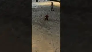 Первый раз на санках с горки 👼🏻😍