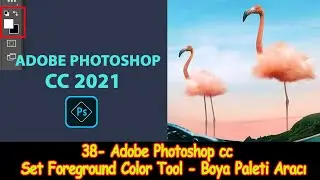 38- Adobe Photoshop cc Dersleri - Set Foreground Color Tool - Boya Paleti Araci