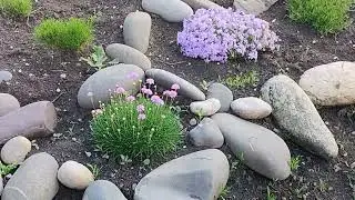 Смешная погода.//Неудачный эксперимент.//Вот это улов!//