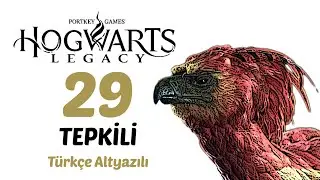 #29 Crucio! | Hogwarts Legacy Türkçe Altyazılı Tepkili [2k60Fps]