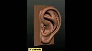 ZBrush Ear Sculpt🎨🖌✏️