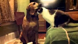 Ellie Mae & Augustus - Forbidden Love