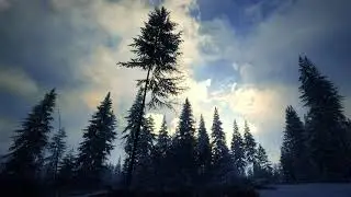 TheHunter: Call of the Wild