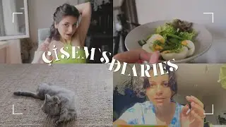 Çisem's Diaries | Pasaport almaya gidiyoruz, Dyson Saç şekillendirici, (eve karga yavrusu girdi)