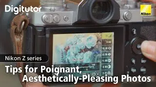 Zfc #3 Tips for Poignant, Aesthetically-Pleasing Photos | Nikon Digitutor