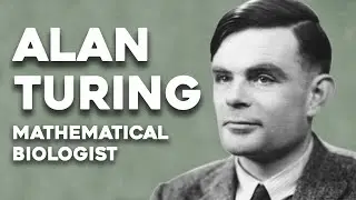 Alan Turing, the mathematical biologist | Mathematics and Statistics at Sheffield