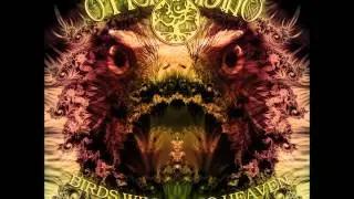 Ohm Mind - Birds Will Go To Heaven [Full Album]