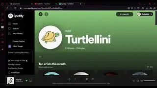 spotify change username