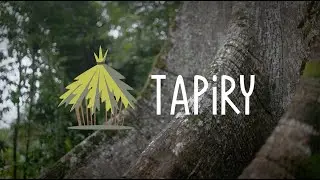 Tapiry - Comercial Conceito de Marca