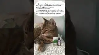 Ремонт класса. #анекдототкожаного