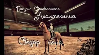 ПОКУПКА ОБНОВЛЕННОГО АХАЛТЕКИНЦА/обзор новой лошади