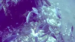 love to see the structure on the bottom even if i'm snagged on it