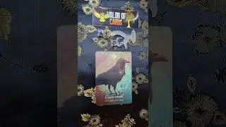 Card of the day 