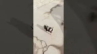 Не у всех есть хороший вкус 🤣
