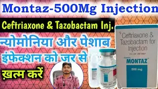How To Use Montaz Injection Full Details In Hindi / Double Antibiotic Injection