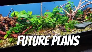 Future Plans