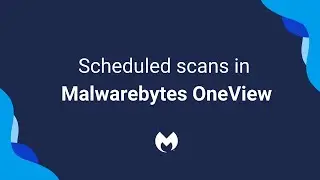 Set scheduled scans in Malwarebytes OneView