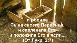 Проповедь: И родила Сына своего Первенца, и спеленала Его, и положила Его в ясли...