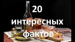 20 Забавных фактов, о которых вы могли не знать