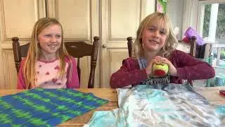 Turn Old T-Shirts Into DIY Dog Toys!
