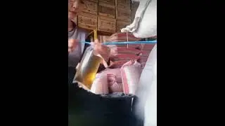 Cool hacks