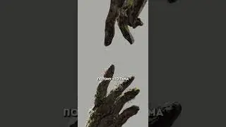 Борьба светлого и темного