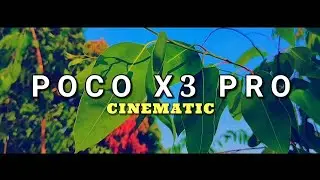 Poco X3 Pro Cinematic Video Test || 1080p, Wide Angle, Macro & Stability || Camera Test