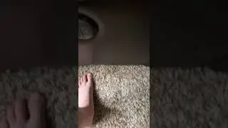 Feet