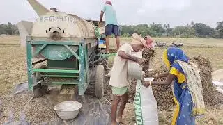 mung dal harvesting in low labour multi crop thresher in sonalika di 35 farming machinary jugad