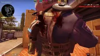 Тупо рофлы 4