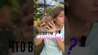 Что внутри старого кокоса ? 🥥